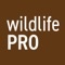 Approved and registered users who are over 18 years old with official South African IDs can sign up and apply for registration to bid on an existing game auction with the WildlifePro app
