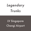 LV Singapore Changi 1