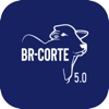 BR-Corte 5.0