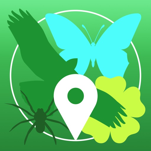 iObs Download