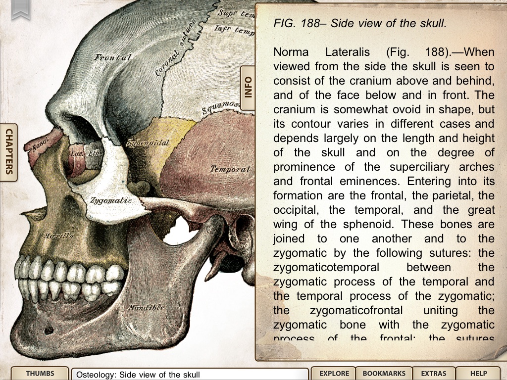 Grays Anatomy Student for iPad screenshot 3