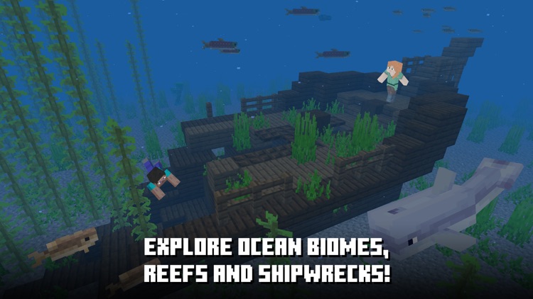 Minecraft screenshot-8