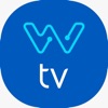 Netwise TV