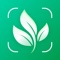 Discover the PlantNow - your reliable plant care guide and a pocket plant identifier