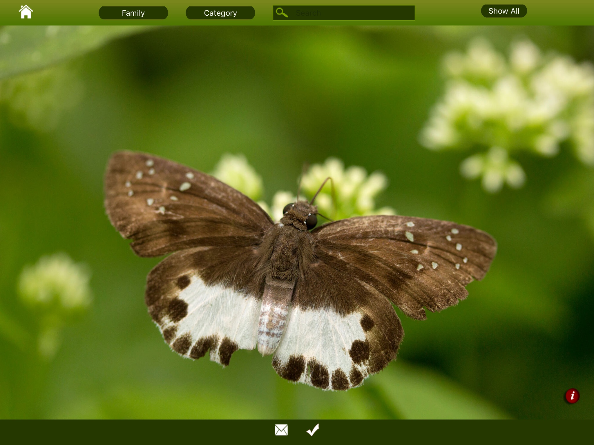 Butterfly eGuide screenshot 2