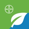 Mi cultivo con Bayer