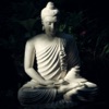 Icon Meditación Guiada