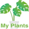 My Home Plants
