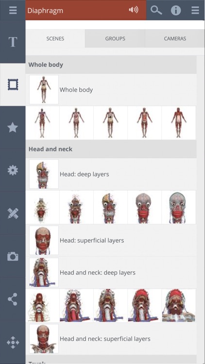 Primal's 3D Whole body