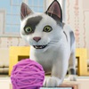 My Cute Cat Pet Simulator Game
