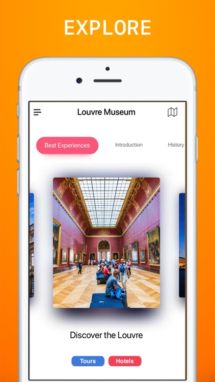 Louvre Museum Visitor Guide