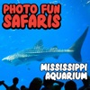 Photo Fun Safaris MS Aquarium
