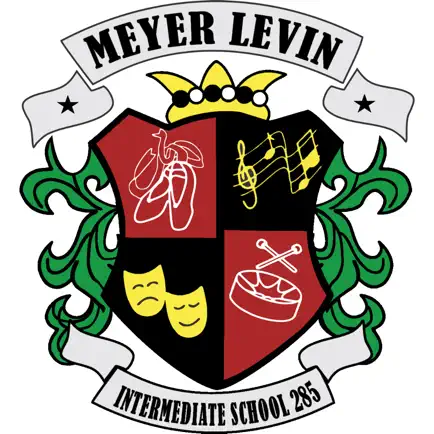 IS 285 Meyer Levin Cheats