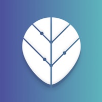 Thrive Global на пк