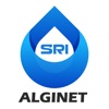 HP3 SRI Alginet