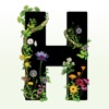 Icon Happy Herb Company