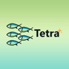 Tetra Teams
