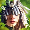 Vikingard icon