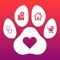 Pet Mate is a platform where Pet owners can find everything they need for their little friends in one place