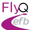 FlyQ EFB - Seattle Avionics, Inc.