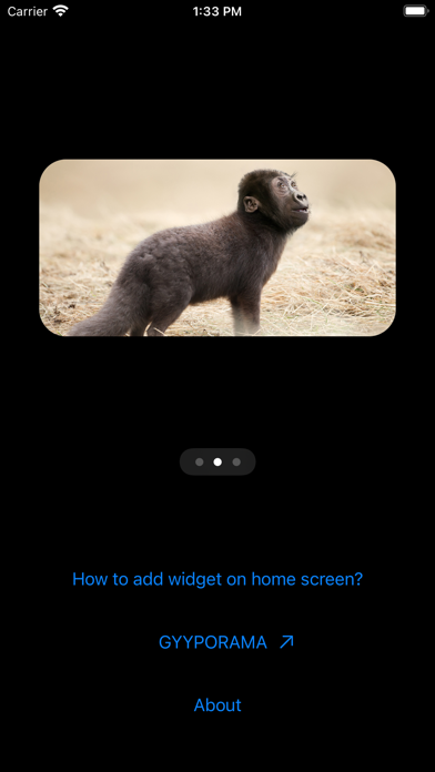 Photo Widgets • Hybrid animalsのおすすめ画像8