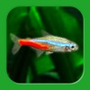熱帯魚育成「ミニアクア」癒しのアクアリウム体験 - iPhoneアプリ