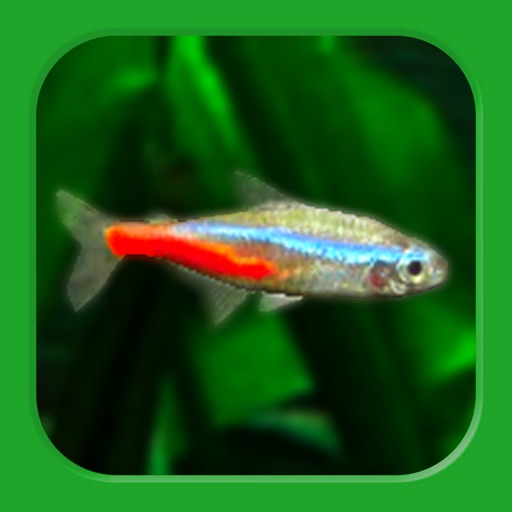 熱帯魚育成 ミニアクア 癒しのアクアリウム体験 Iphone Ipadアプリ アプすけ