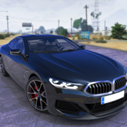 Car Driving School: Real Drive