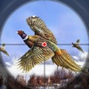 Icon Pheasant Bird Hunting 18