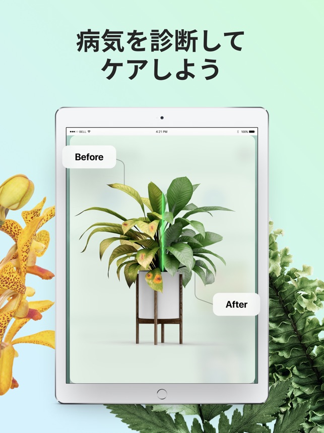 Picturethis 撮ったら 判る 1秒植物図鑑 をapp Storeで