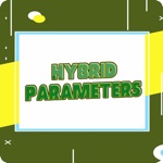 Hybrid Parameters