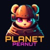 Planet Peanut - Make Math Fun