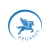 Pegasus Shuttle