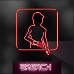 Security Nights Chapter Breach