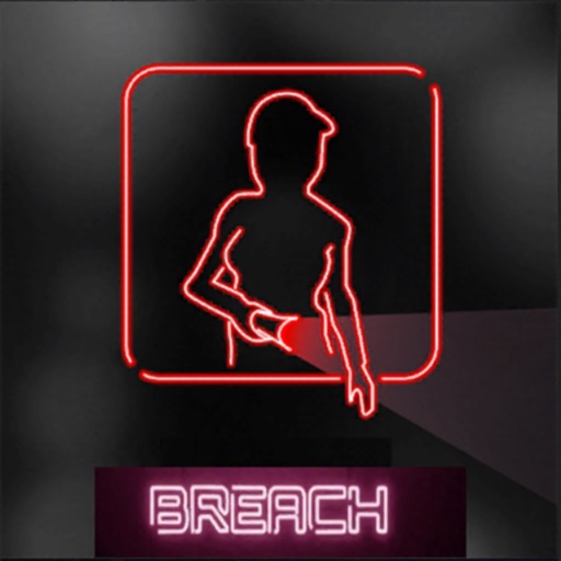 Security Nights Chapter Breach Icon