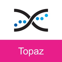 MEMS Mobile Topaz