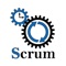 Welcome to the Scrum Practice Test App