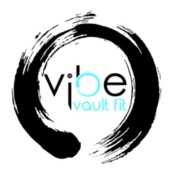 Vibe Vault Fit 2.0 (NEW)