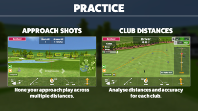 Awesome Golf Simulator Screenshot