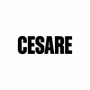 Beauty-пространство Cesare