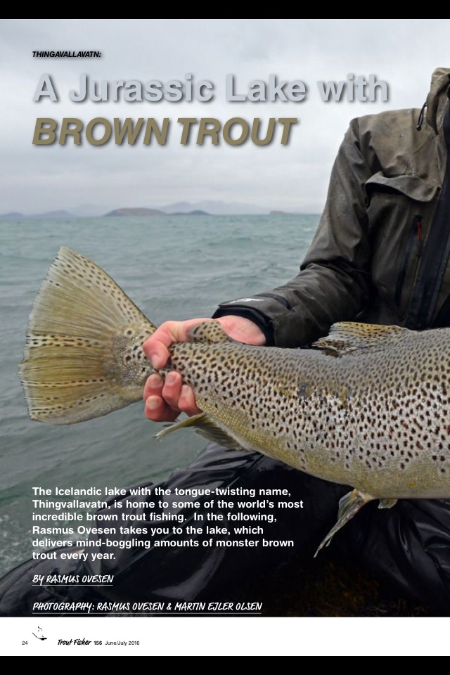 NZ Trout Fisher screenshot 4