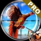 Pheasant Bird Hunting Pro