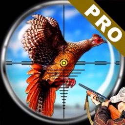 Pheasant Bird Hunting Pro