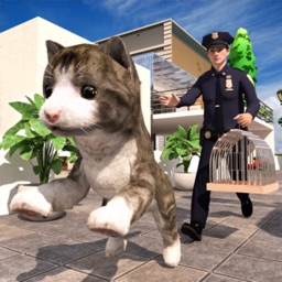 My Virtual Pet: Cat Simulator