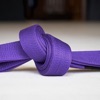 Purple Belt Requirements 2.0