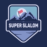 Super Slalom Game