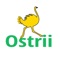 Ostrii is a platform revolutionising how financial education is delivered in rural communities worldwide