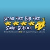 Small Fish Big Fish Swim