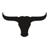 Texas Longhorn Stickers