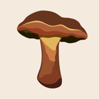 Bolete Filter apk